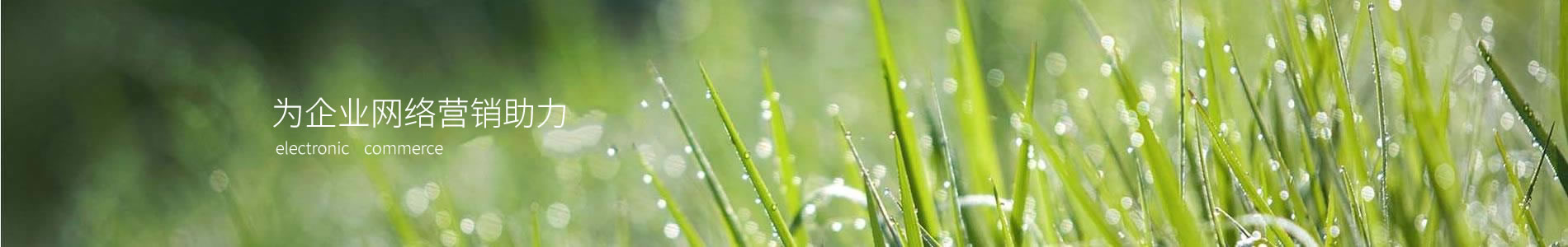 е磨ɽƼ޹˾
